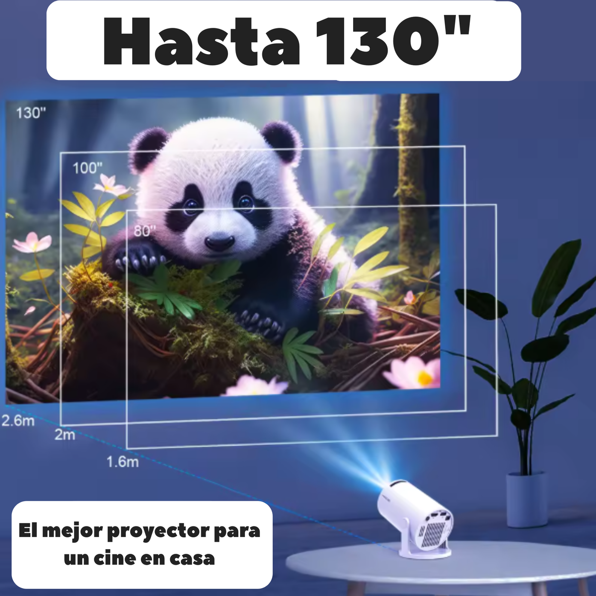 Proyecto Halo